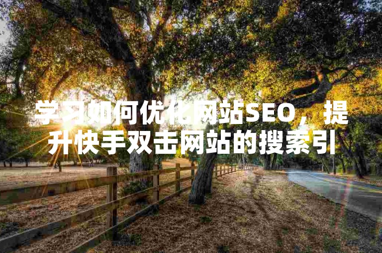 学习如何优化网站SEO，提升快手双击网站的搜索引擎排名。