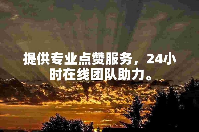 提供专业点赞服务，24小时在线团队助力。