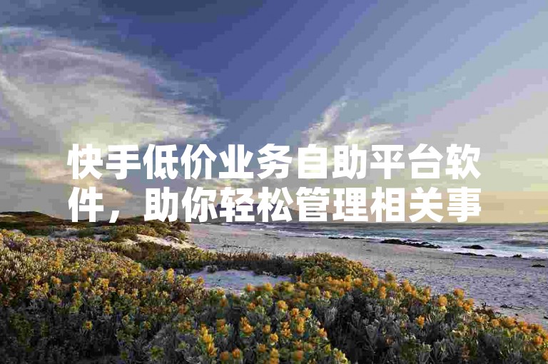 快手低价业务自助平台软件，助你轻松管理相关事务。