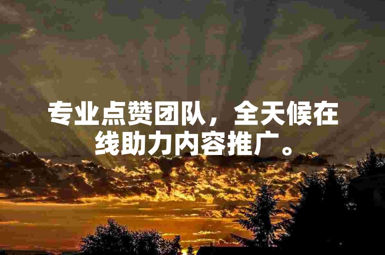 专业点赞团队，全天候在线助力内容推广。