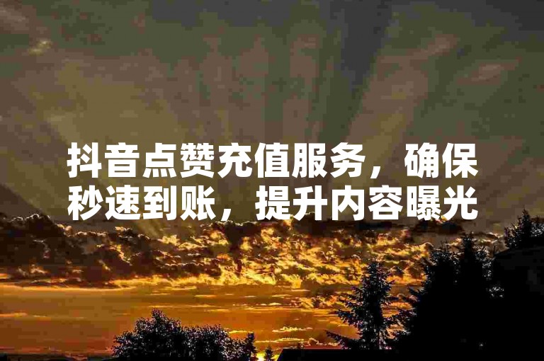 抖音点赞充值服务，确保秒速到账，提升内容曝光。