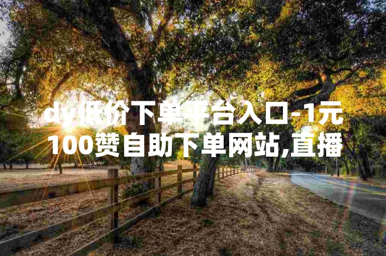 dy低价下单平台入口-1元100赞自助下单网站,直播间人气互动真人下单