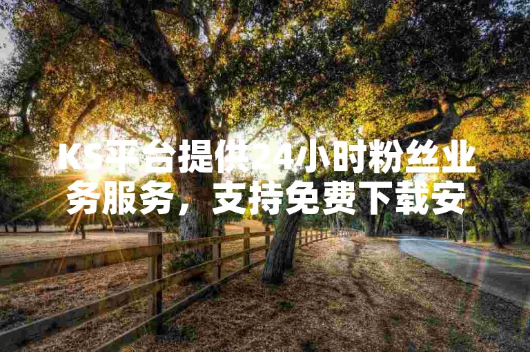 KS平台提供24小时粉丝业务服务，支持免费下载安装。