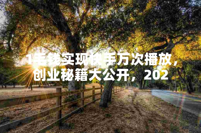 1毛钱实现快手万次播放，创业秘籍大公开，2025必备技巧！