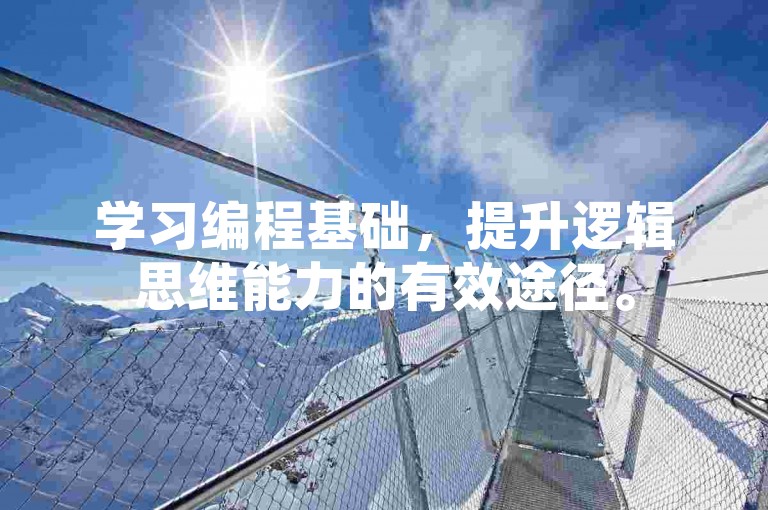 学习编程基础，提升逻辑思维能力的有效途径。