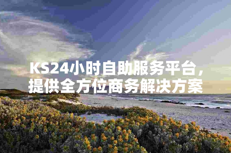KS24小时自助服务平台，提供全方位商务解决方案，助力企业高效运营。