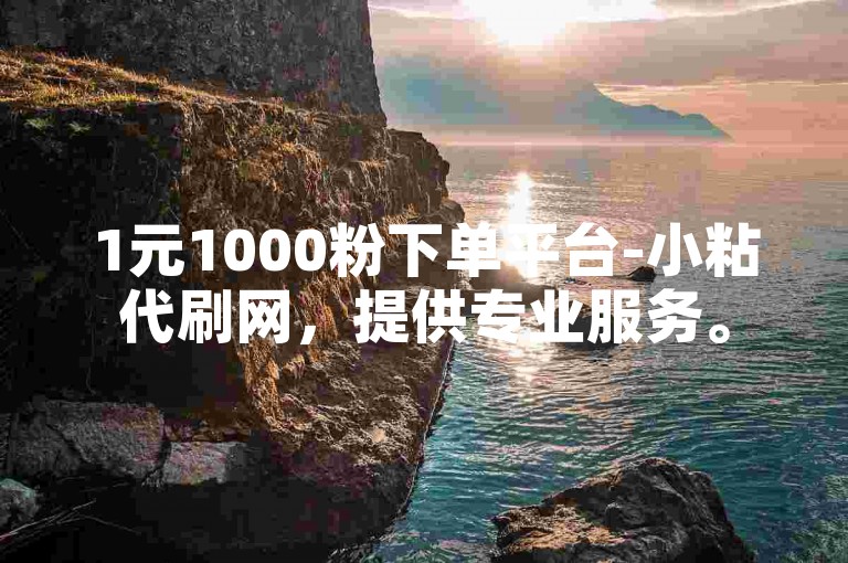 1元1000粉下单平台-小粘代刷网，提供专业服务。