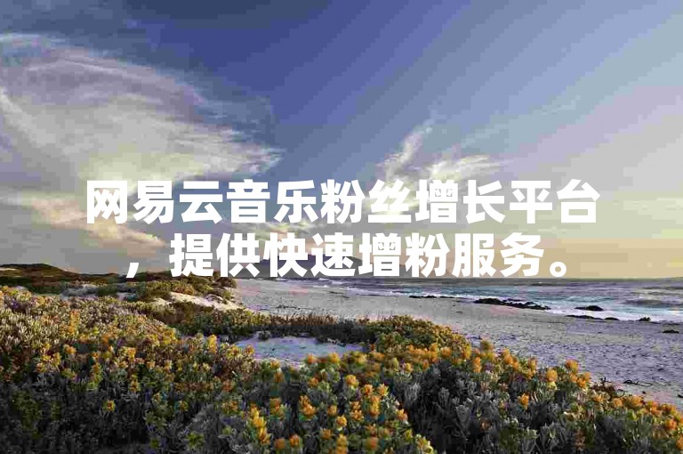 网易云音乐粉丝增长平台，提供快速增粉服务。