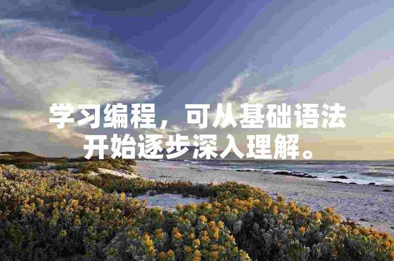 学习编程，可从基础语法开始逐步深入理解。
