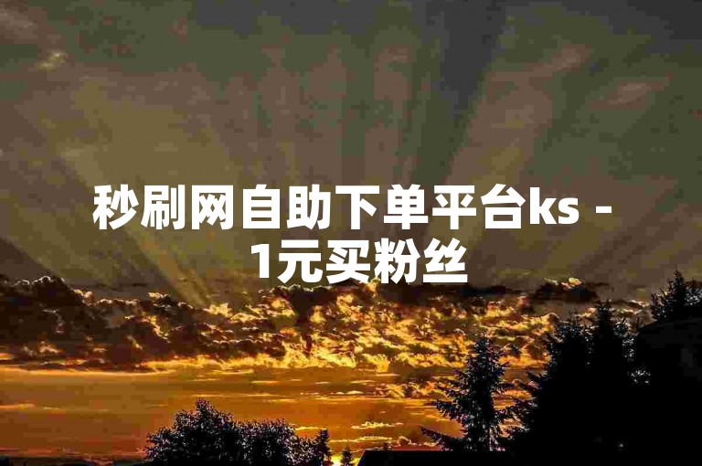 秒刷网自助下单平台ks - 1元买粉丝