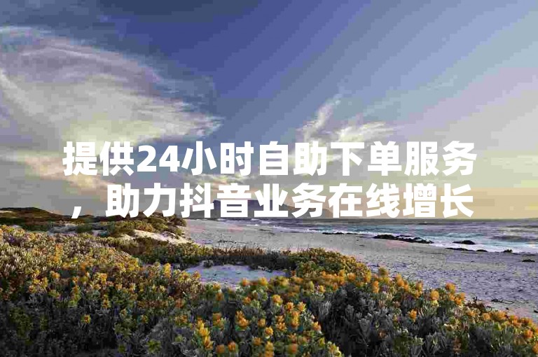 提供24小时自助下单服务，助力抖音业务在线增长。