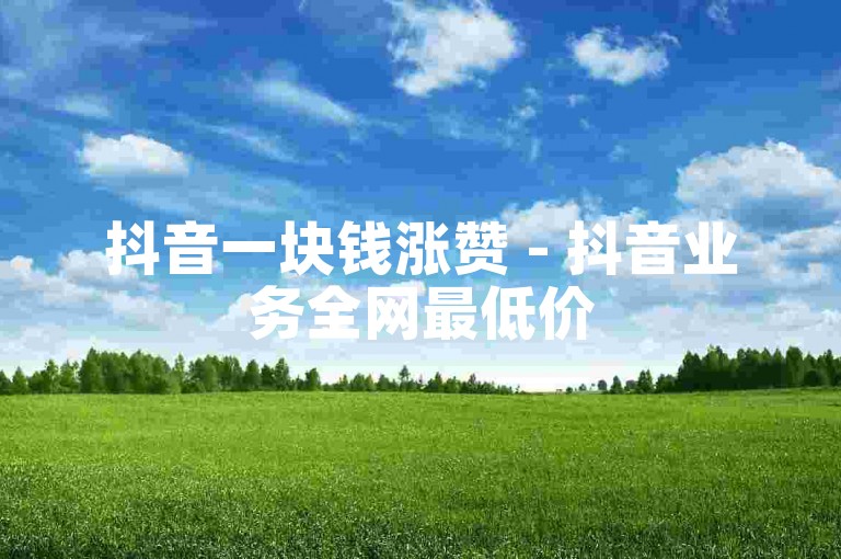 抖音一块钱涨赞 - 抖音业务全网最低价