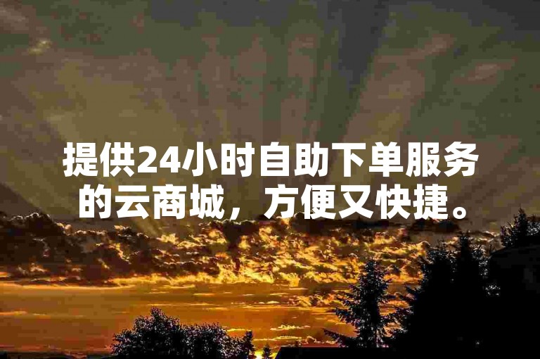 提供24小时自助下单服务的云商城，方便又快捷。