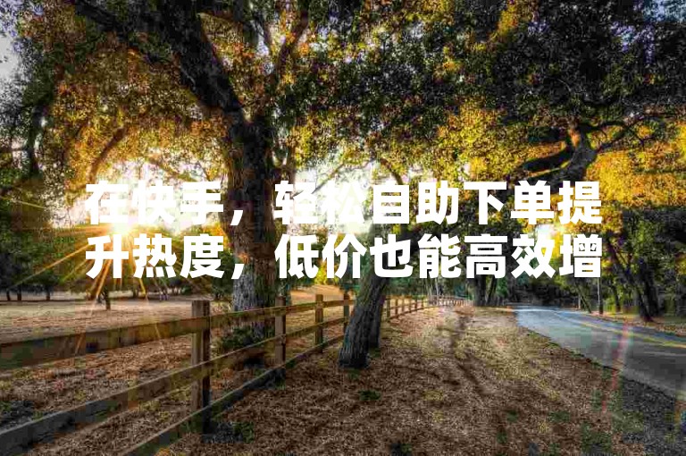 在快手，轻松自助下单提升热度，低价也能高效增流。