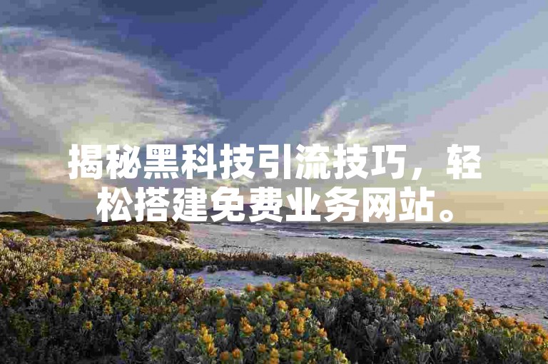 揭秘黑科技引流技巧，轻松搭建免费业务网站。