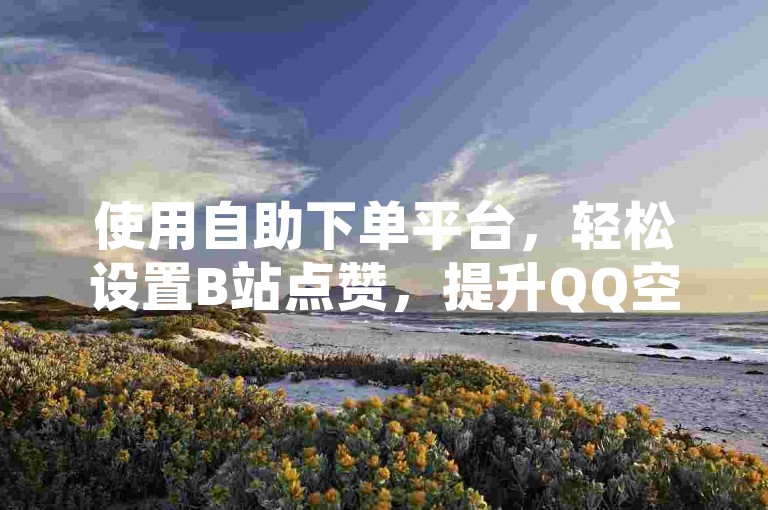 使用自助下单平台，轻松设置B站点赞，提升QQ空间访客量。