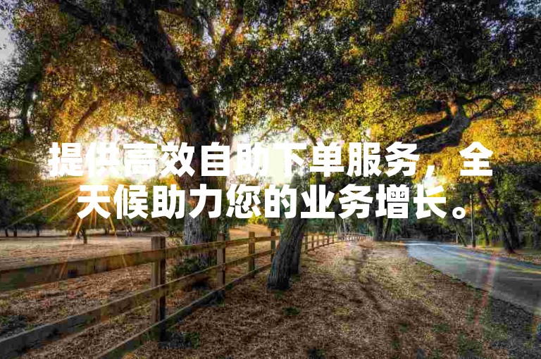 提供高效自助下单服务，全天候助力您的业务增长。