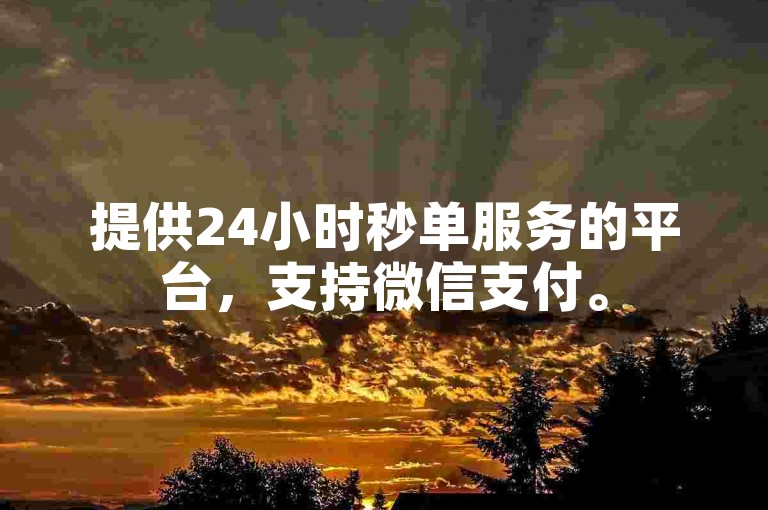 提供24小时秒单服务的平台，支持微信支付。