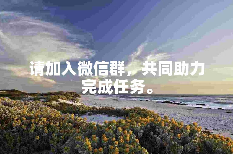 请加入微信群，共同助力完成任务。