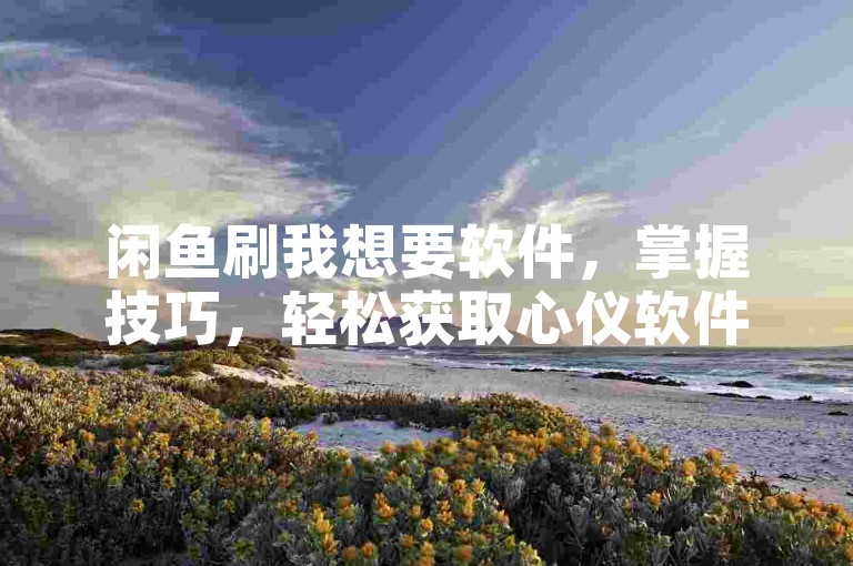 闲鱼刷我想要软件，掌握技巧，轻松获取心仪软件。