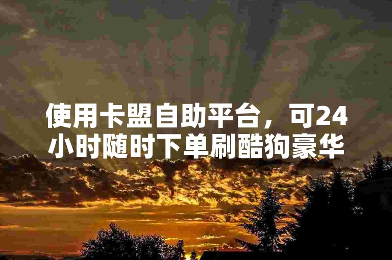 使用卡盟自助平台，可24小时随时下单刷酷狗豪华会员。