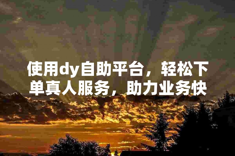 使用dy自助平台，轻松下单真人服务，助力业务快速成功。