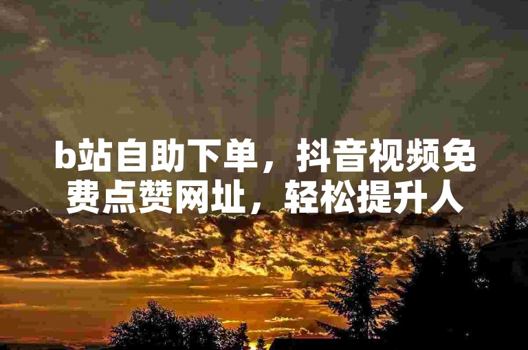 b站自助下单，抖音视频免费点赞网址，轻松提升人气。