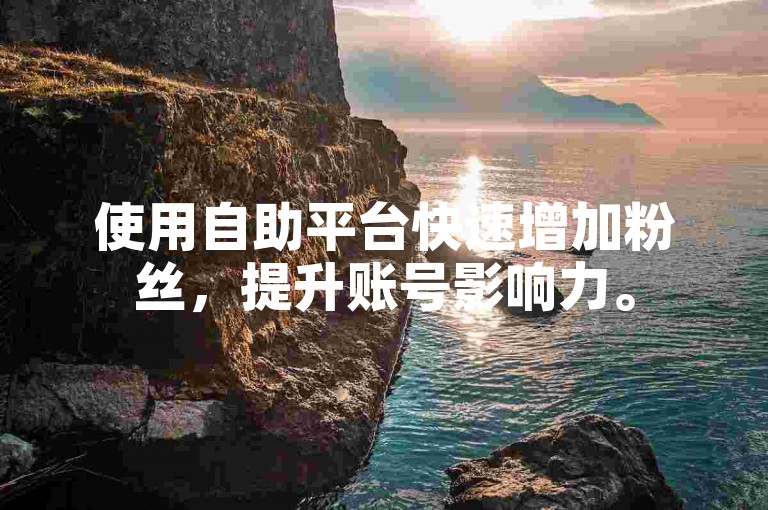 使用自助平台快速增加粉丝，提升账号影响力。