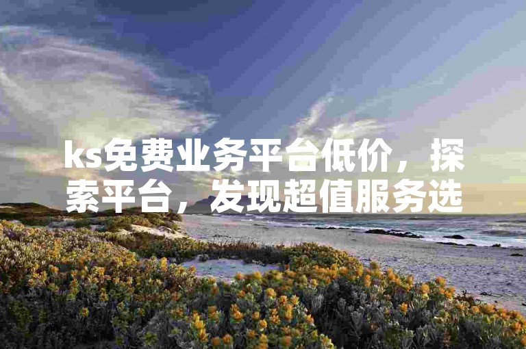 ks免费业务平台低价，探索平台，发现超值服务选项。