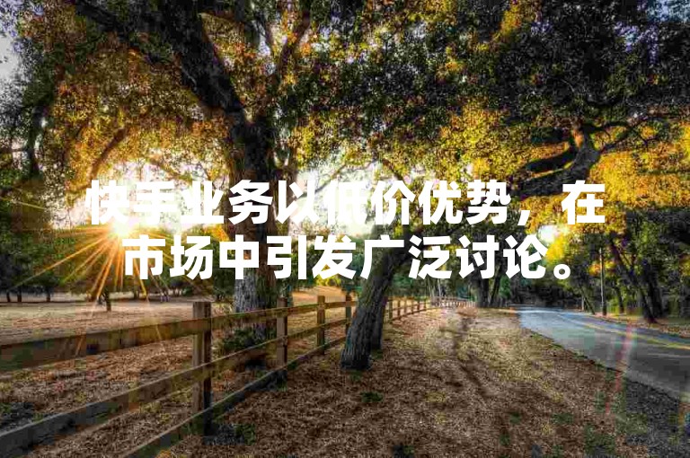 快手业务以低价优势，在市场中引发广泛讨论。
