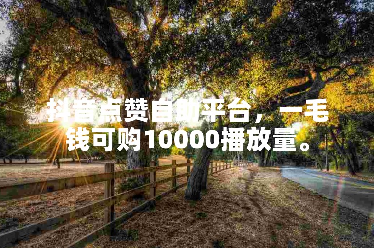抖音点赞自助平台，一毛钱可购10000播放量。