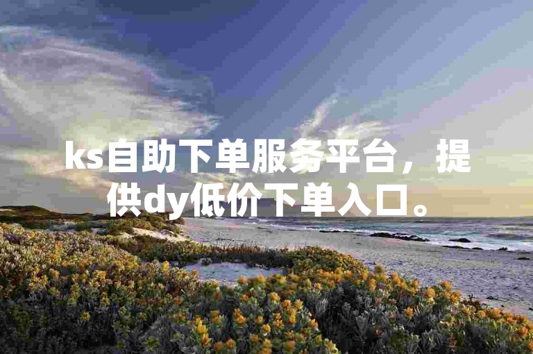 ks自助下单服务平台，提供dy低价下单入口。