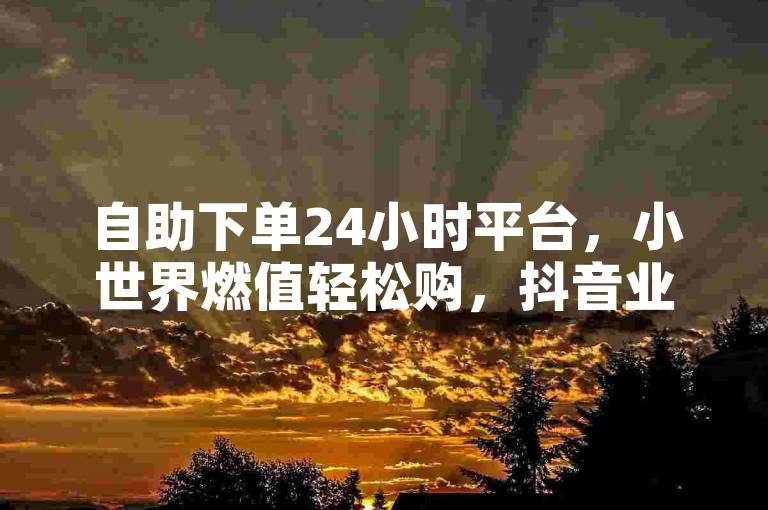 自助下单24小时平台，小世界燃值轻松购，抖音业务随时下单。