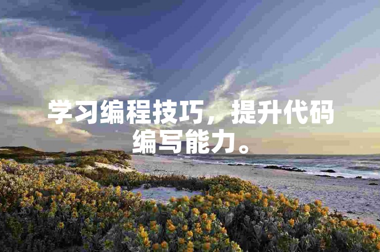 学习编程技巧，提升代码编写能力。