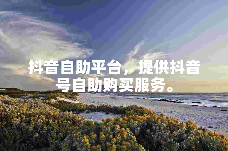 抖音自助平台，提供抖音号自助购买服务。
