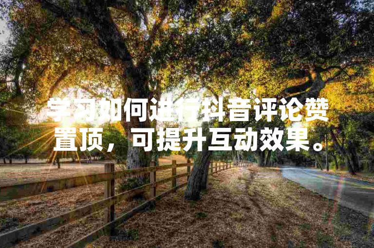 学习如何进行抖音评论赞置顶，可提升互动效果。