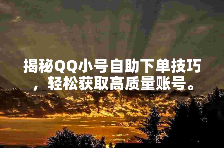 揭秘QQ小号自助下单技巧，轻松获取高质量账号。