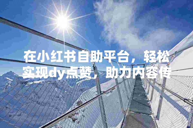 在小红书自助平台，轻松实现dy点赞，助力内容传播。