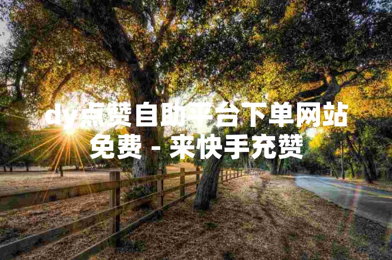 dy点赞自助平台下单网站免费 - 来快手充赞
