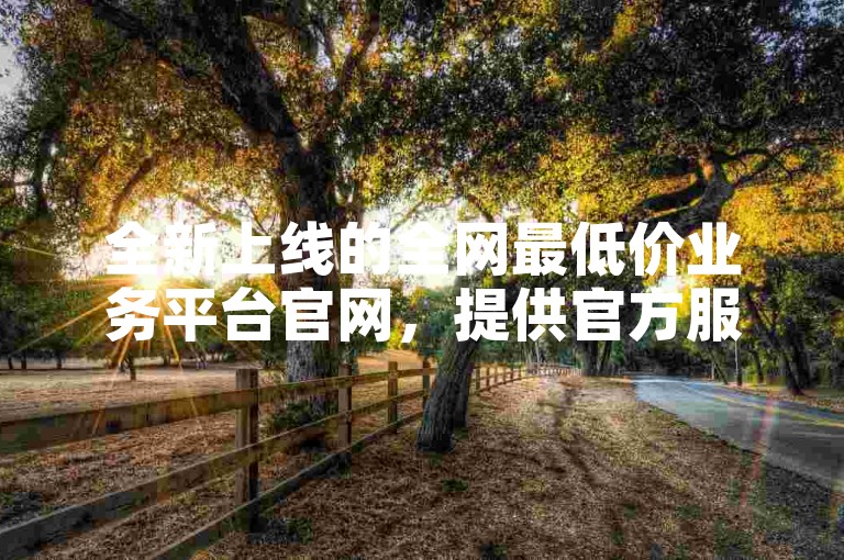 全新上线的全网最低价业务平台官网，提供官方服务。
