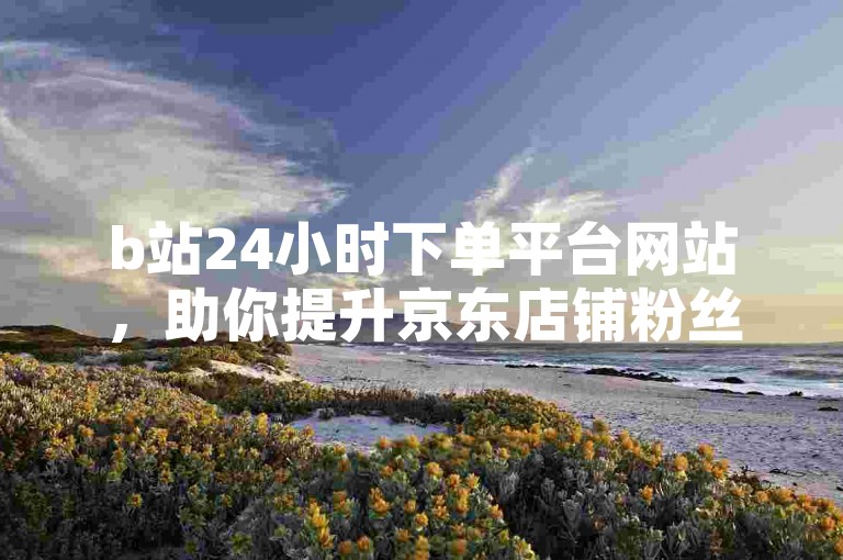 b站24小时下单平台网站，助你提升京东店铺粉丝量。