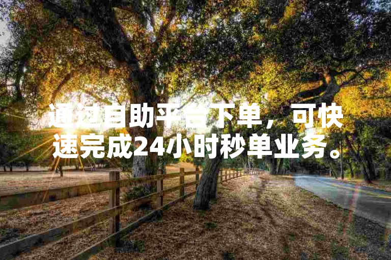 通过自助平台下单，可快速完成24小时秒单业务。