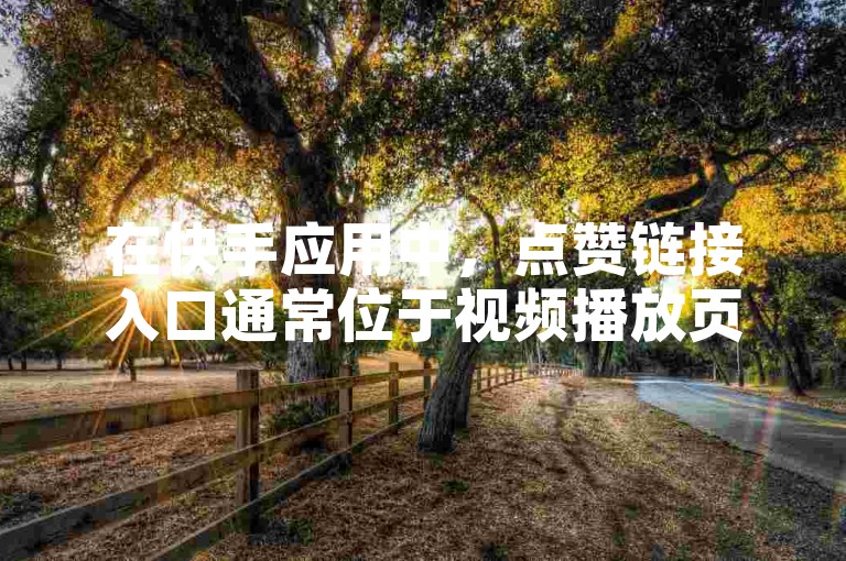 在快手应用中，点赞链接入口通常位于视频播放页面下方。