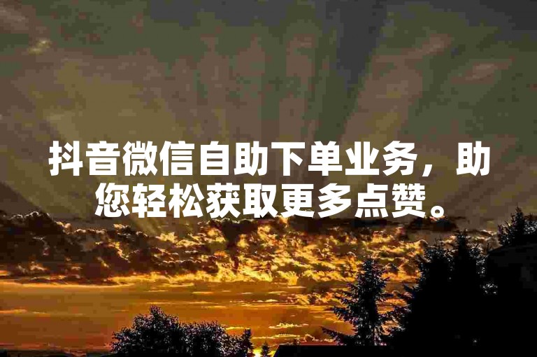 抖音微信自助下单业务，助您轻松获取更多点赞。