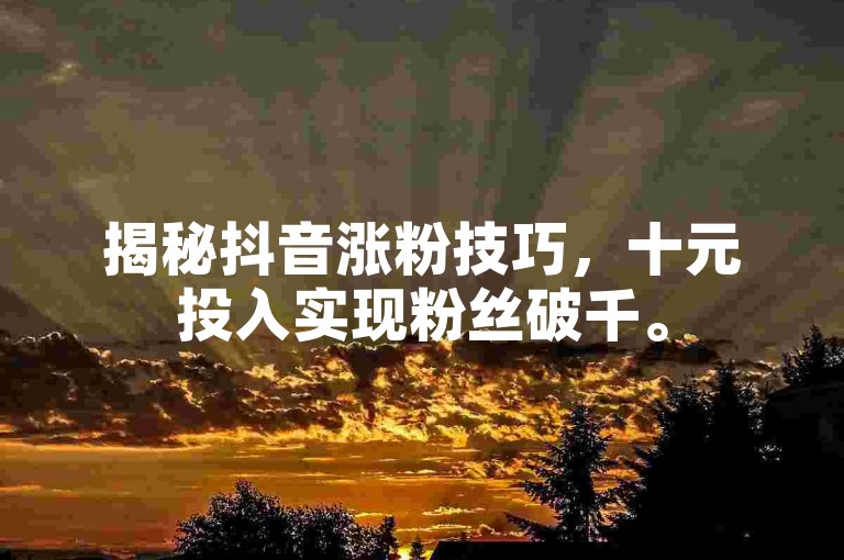 揭秘抖音涨粉技巧，十元投入实现粉丝破千。