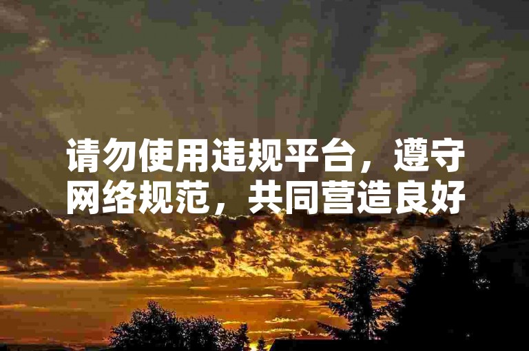 请勿使用违规平台，遵守网络规范，共同营造良好环境。