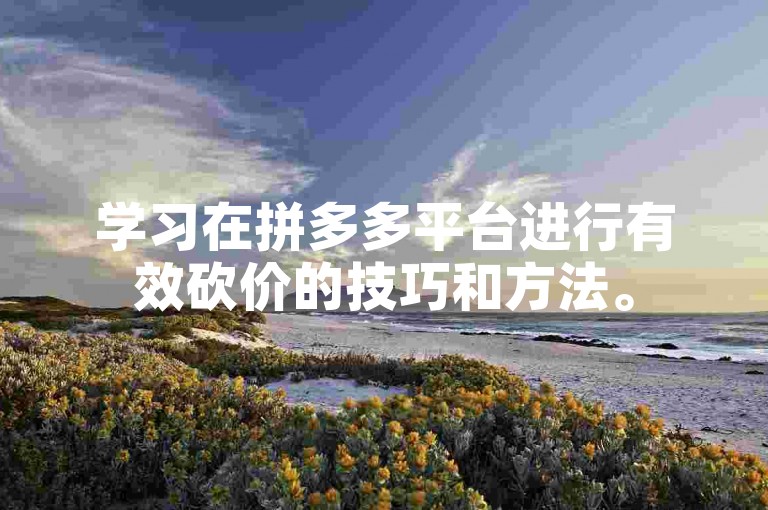 学习在拼多多平台进行有效砍价的技巧和方法。