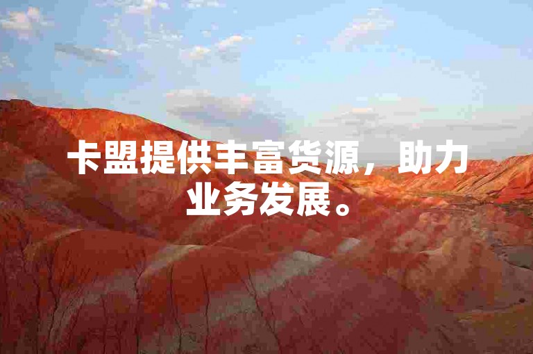 卡盟提供丰富货源，助力业务发展。