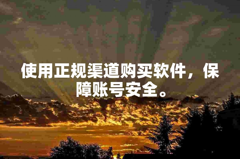 使用正规渠道购买软件，保障账号安全。