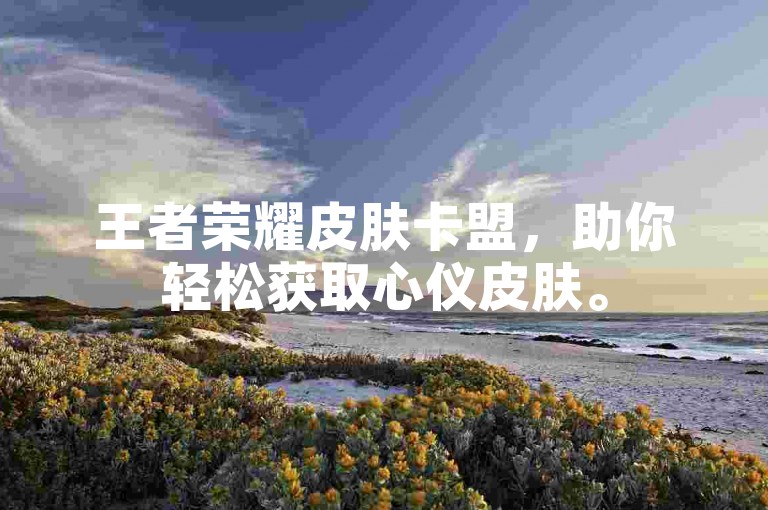 王者荣耀皮肤卡盟，助你轻松获取心仪皮肤。